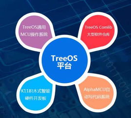 單片機項目開發